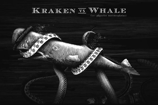 Kraken11.at